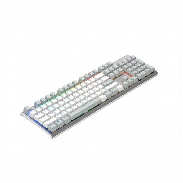 FS100 (Grayish White / Icy Blue / Stone Black)