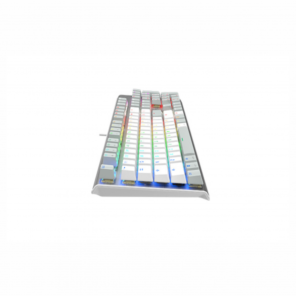 FS100 (Grayish White / Icy Blue / Stone Black)