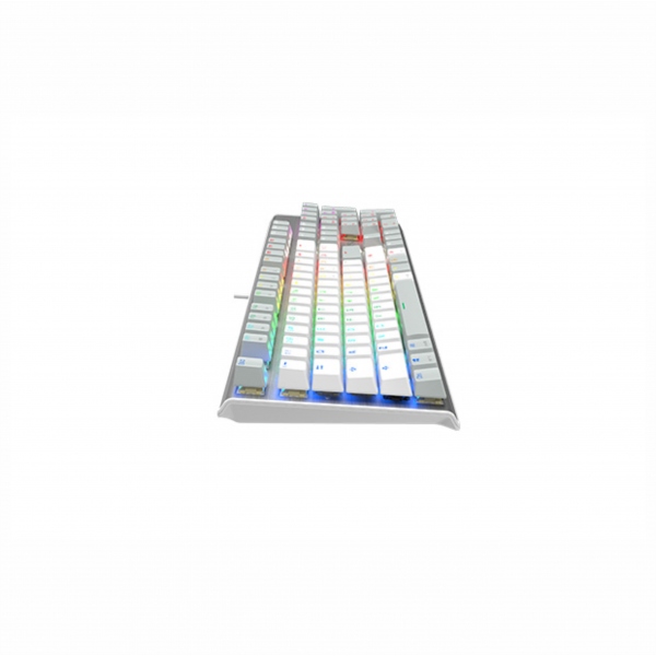 FS100 (Grayish White / Icy Blue / Stone Black)