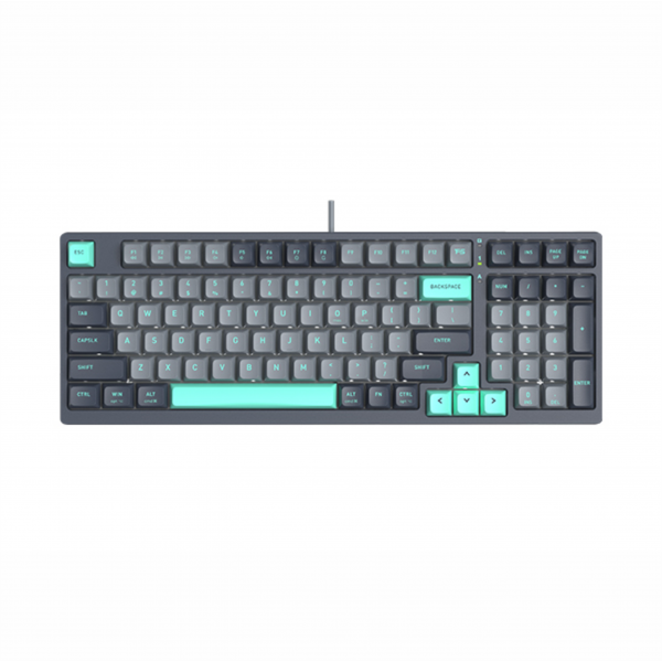 FS300 (Panda Rock Climbing / Panda Snorkeling)