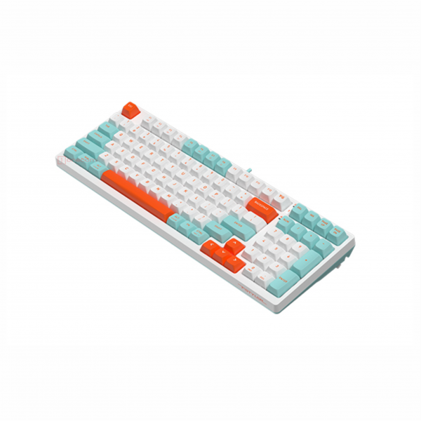 FS300 (Panda Rock Climbing / Panda Snorkeling)